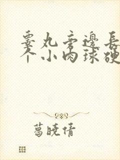 睾丸旁边长了一个小肉球硬硬的