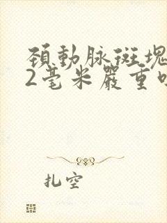 颈动脉斑块3.2毫米严重吗