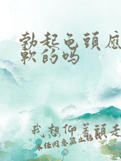 勃起龟头应该是软的吗