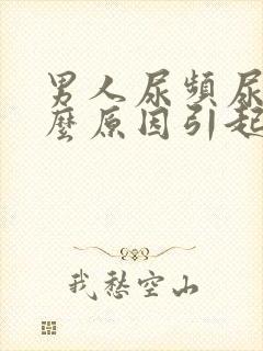 男人尿频尿痛什么原因引起的