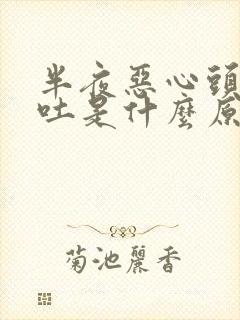 半夜恶心头晕想吐是什么原因引起的