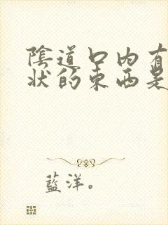 阴道口内有颗粒状的东西是什么