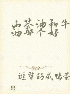 山茶油和牛油果油哪个好