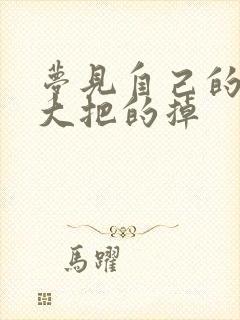 梦见自己的头发大把的掉