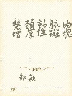 双颈动脉内中膜增厚伴斑块