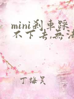 mini刹车踩不下去,无法启动