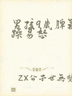 男孩9岁脾气暴躁易怒