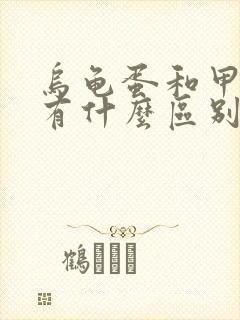 乌龟蛋和甲鱼蛋有什么区别