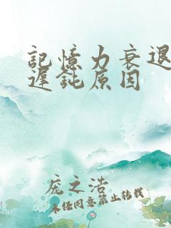 记忆力衰退反应迟钝原因