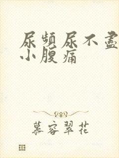 尿频尿不尽腰酸小腹痛