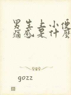 男生上小便有刺痛感是什么原因