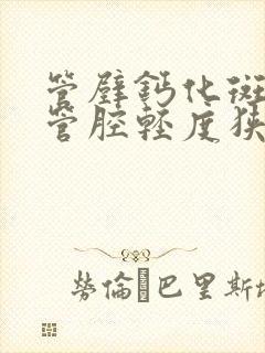 管壁钙化斑块,管腔轻度狭窄