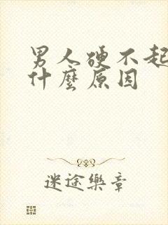 男人硬不起了是什么原因