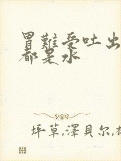 胃难受吐出来的都是水