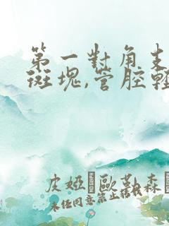 第一对角支钙化斑块,管腔轻度狭窄