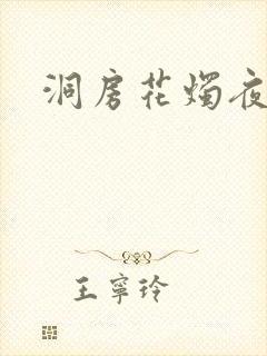 洞房花烛夜小说