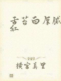 舌苔白厚腻舌尖红