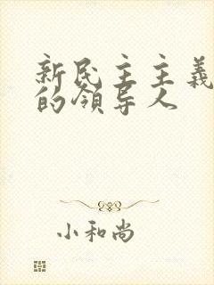 新民主主义革命的领导人