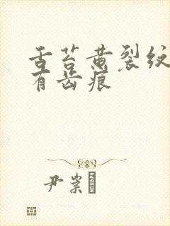 舌苔黄裂纹边上有齿痕