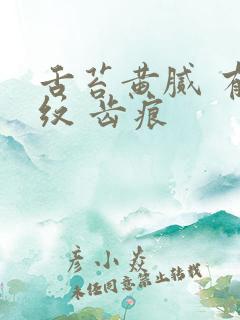 舌苔黄腻 有裂纹 齿痕