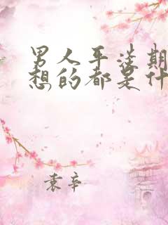 男人平淡期心里想的都是什么