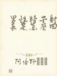 男性精子射不出来是怎么回事