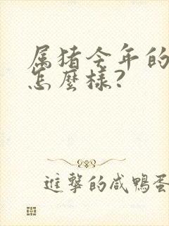 属猪今年的运气怎么样?