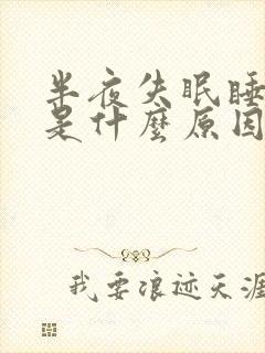 半夜失眠睡不着是什么原因