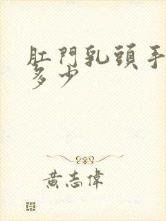 肛门乳头手术费多少