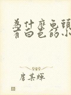 为什么龟头下面有白色的小颗粒