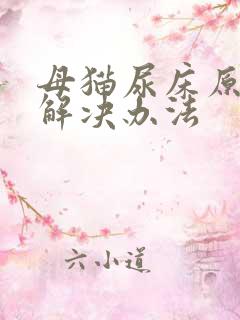 母猫尿床原因和解决办法