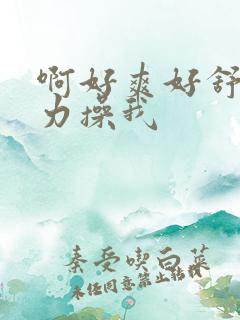 啊好爽好舒服用力操我