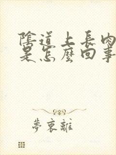 阴道上长肉颗粒是怎么回事