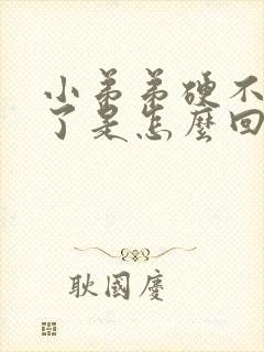 小弟弟硬不起来了是怎么回事