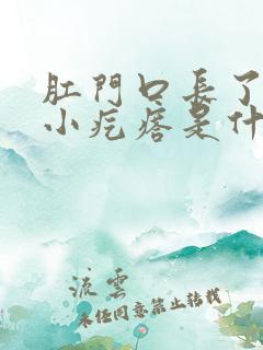 肛门口长了一些小疙瘩是什么