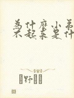 为什么小弟弟硬不起来是什么原因