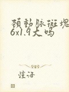 颈动脉斑块9.6x1.9大吗