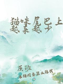 猫咪尾巴上的毛越来越少