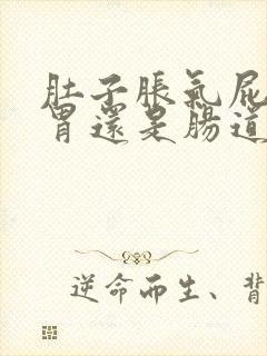 肚子胀气屁多是胃还是肠道问题