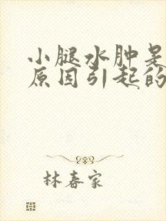 小腿水肿是什么原因引起的