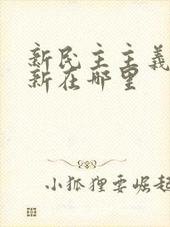 新民主主义革命新在哪里