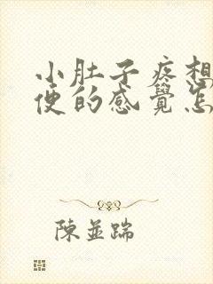 小肚子疼想上大便的感觉怎么回事