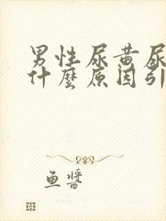 男性尿黄尿臭是什么原因引起的