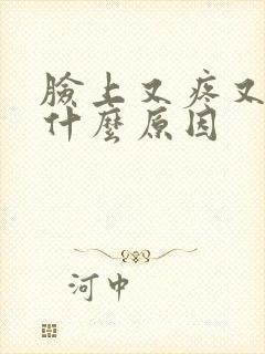 脸上又疼又痒是什么原因