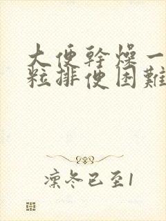 大便干燥一粒一粒排便困难