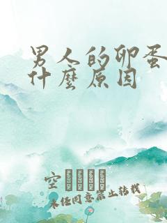 男人的卵蛋胀疼什么原因