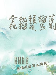 金枕头榴莲和金枕榴莲区别