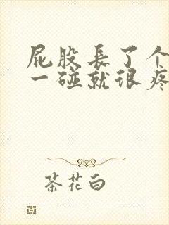 屁股长了个疙瘩一碰就很疼