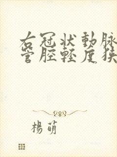 右冠状动脉近段管腔轻度狭窄