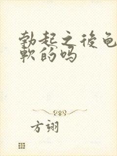 勃起之后龟头是软的吗